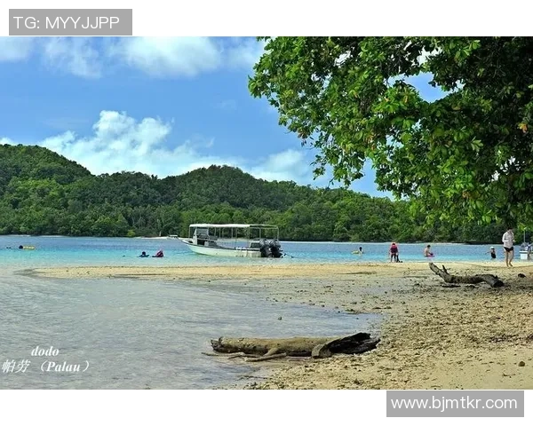 帕劳足球球星：从小岛到国际赛场的荣耀之路与传奇故事